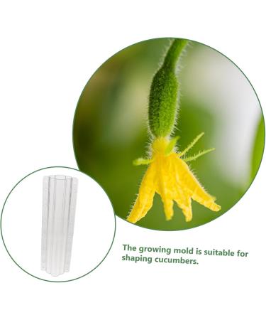 Milisten Garden Fruit Mould 2pcs Vegetable Shaping Mold Cucumbers Cucumber Shaping Mold Vegetable Shaper Mold Planting Supplies - Buy Online on GoSupps.com