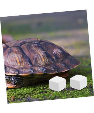 ORFOFE 12pcs Pet Mineral Hermit Crab Shells Cold Shipping Boxes White - Buy Online on GoSupps.com