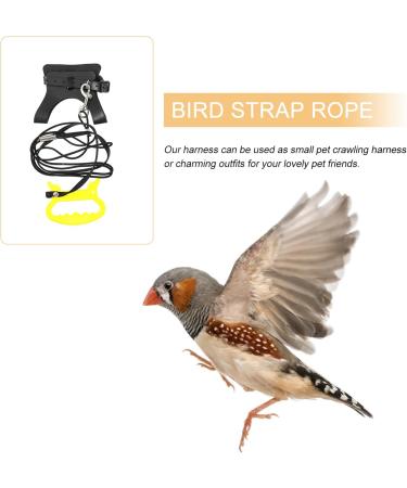 Generic Pigeon Harness Parrot Bird Strap- Adjustable Bird Vest& Harness Kit/Outdoor Parrot Flight Training Rope/Pet Outdoor Leash Suitable for Parrot Lovebird Cockatiel Birds ( M ) Macaw Harness - Buy Online on GoSupps.com