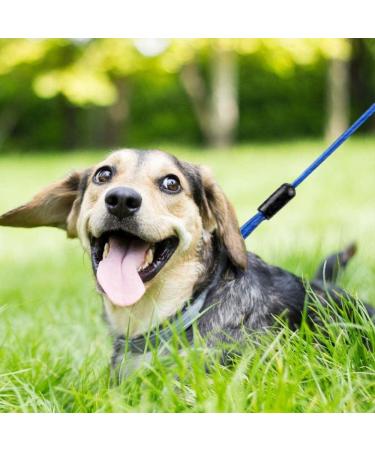 Dongker Hofleine Dog Tie-Out Linen 3m | Heavy Duty Dog Leash for Small/Medium Dogs up to 130 lbs | 360 Rotating Buckle | International Shipping Available - Buy Online on GoSupps.com