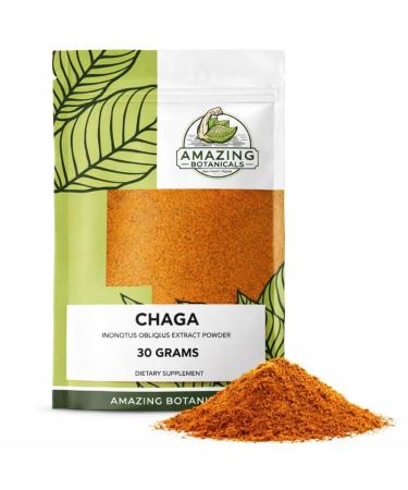 Amazing Botanicals Premium Chaga Extract Powder | Inonotus obliquus | Vegan Non-GMO No Added Sugar | Mushroom Extract Powder 30 Grams