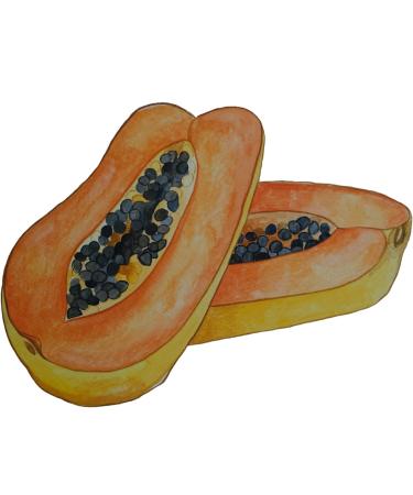 Epoch Sole Solution - Best Treatment for Dry Cracked Feet | Fast International Shipping - Buy Online on GoSupps.com