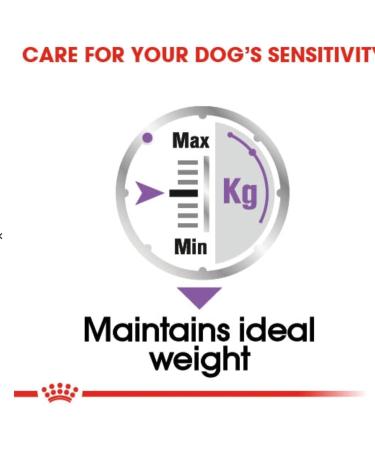 Royal Canin Serilised Care Adult Wet Dog Food 85g (Pack of 48) - Buy Online on GoSupps.com