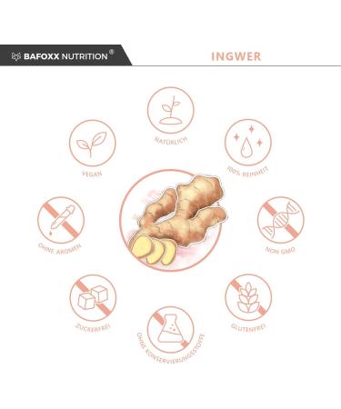 Buy BAFOXX Nutrition Ginger Capsules - 180 Vegan Capsules 300mg Ginger Powder - Natural Additive-Free - Premium German Quality for 6 Months Supply - Buy Online on GoSupps.com