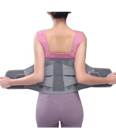 Back Support Belt Breathable Steel Plate Lumbar Support Brace for Lower Back Herniated Disc Back Brace Belt Lumbar Plate Support Lumbar Support Bracket - Buy Online on GoSupps.com