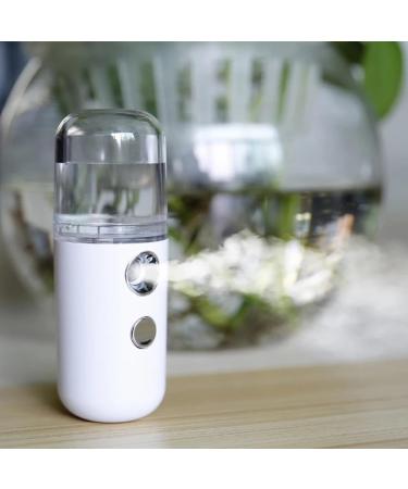 Luxshiny Mini Humidificateur Portable Spray Nano Hydratant Peau Format Mini Blanc Vaporisateur D'hydratation Visage Pratique Appareil de Soin pour Peau S che et Voyages - Buy Online on GoSupps.com
