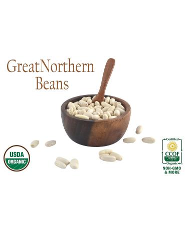 Organic Great Northern Beans  Raw  non GMO  Vegan  Bulk (10LB) Organic Great Northern Bean 10 Pound - Buy Online on GoSupps.com