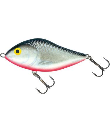 Salmo Wobbler Slider RR 7cm 21g Sinking Lure - Real Roach | Buy Internationally - Buy Online on GoSupps.com