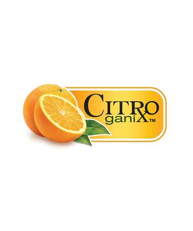 Dr. Talbot's Baby Toothpaste with Citroganix & Silicone Gum Massager - Vanilla Milk Flavor - Buy Online on GoSupps.com