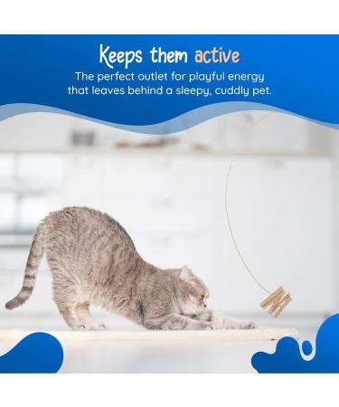 CAT DANCER CATD0101D Cat Toy for Small Breeds - Pack of 2 | Best International Shipping - Buy Online on GoSupps.com