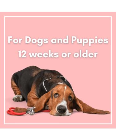 Wrinkle Wipes + Balm for Bulldogs, French Bulldogs, Pugs, English Bulldogs | Cleans & Soothes Wrinkles, Tear Stains, Tail Pockets & Paws | Anti-Itch Formula | 100 Soft Cotton Pads - Buy Online on GoSupps.com