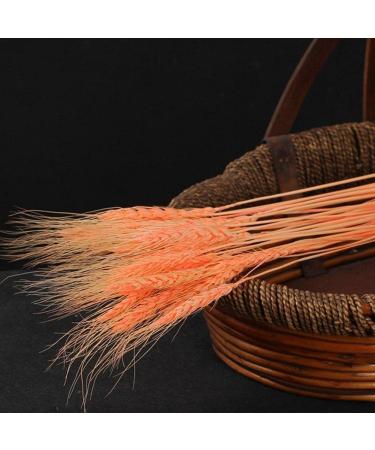 25pcs Colorful Natural Dried Flowers Bouquet Wheat Plants Bunches New Year Craft Wedding Chrismas Decor Decoration Beige 25pcs - Buy Online on GoSupps.com