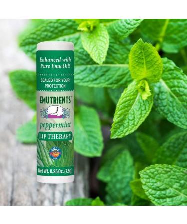 Montana Emu Ranch Peppermint Lip Therapy Balm 0.25oz 3-Pack - Pure Emu Oil Formula - Buy Online on GoSupps.com