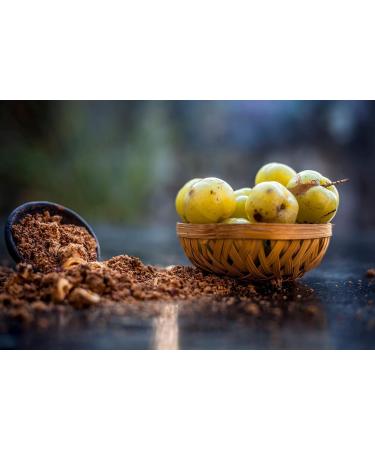 DR. Herbalist-7.1 OZ (200g) Amla Fruit Powder Amla Powder Organic for Eating Ascorbic Acid Powder Emblica Officinalis Amalaki for Immune Support & Energy - Buy Online on GoSupps.com