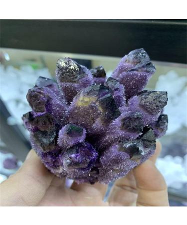 Natural Crystal Rough Specimen 300-400g Natural Purple Ghost Phantom Quartz Crystal Cluster Rock Stones and Crystals ReikiSpecimen HomeStone (Size : 300-400g) - Buy Online on GoSupps.com