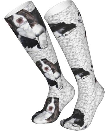Springer Spaniel Compression Socks for Adults | 15-20 mmHg Support for Running & Cycling - Buy Online on GoSupps.com