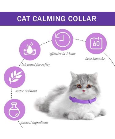 Cat Calming Collar Adjustable Cat Collar Natural Calm Treatment 15 Inches for Most Cat(Purple Lavender Scent) - Buy Online on GoSupps.com