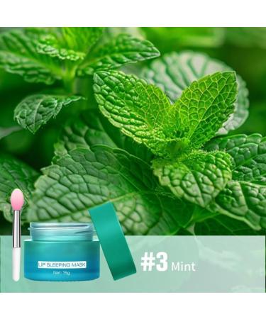  SONGVISON Lip sleeping mask - Night balm for dry and chapped lips - Day and night moisturizer - Intense hydration to reduce lip wrinkles and repair chapped lips - Buy Online on GoSupps.com