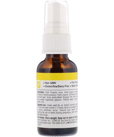 Eclectic Institute Kids Propolis Astragalus Throat Spray - 1 fl oz | Natural Throat Relief - Buy Online on GoSupps.com