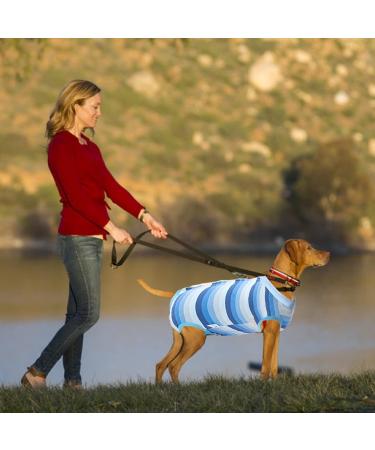 Jodsen Dog Recovery Suit for Dogs and Cats Dog Pajamas Breathable Dog Night Clothes Wound Protection Suits for Puppies Collar After Surgery Prevent Licking Biting (Blue-L) - Buy Online on GoSupps.com