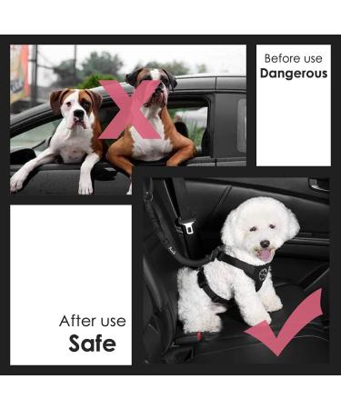 SlowTon Dog Seat Belt 2 Pack Pet Car Seatbelt Headrest Restraint Adjustable Puppy Safety Seat Belt Reflective with Elastic Bungee Connect with Dog Harness in Vehicle for Travel Daily Use Black Headrest Restraint - Buy Online on GoSupps.com