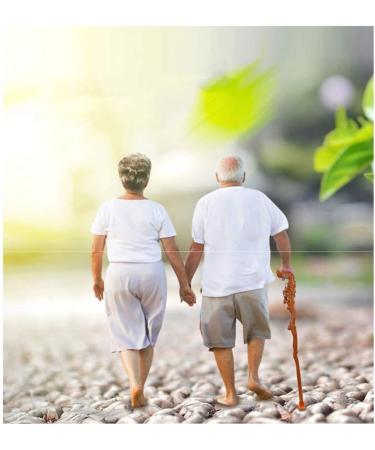 Elderly Crutches Walkers Environmentally Friendly Wooden Materials Ergonomic Handles Suitable for People with Leg Inconvenience Hiking Etc. Interesting - Buy Online on GoSupps.com