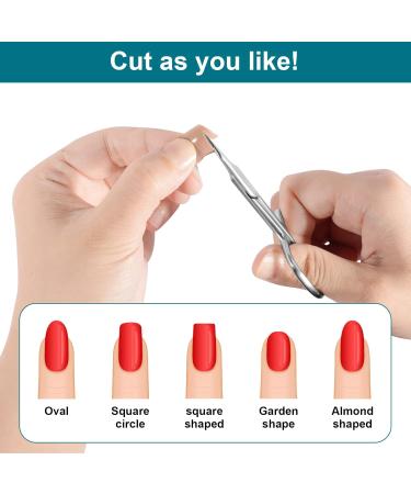 Diesisa Cuticle Scissor Extra Fine Curved 2pc Stainless Manicure Scissors Eyebrow Scissors for Fingernail Eyebrow Eyelash Dry Skin Nail Scissors Curved for Grooming Caring for Fingers and Toes 2pc Scissors - Buy Online on GoSupps.com