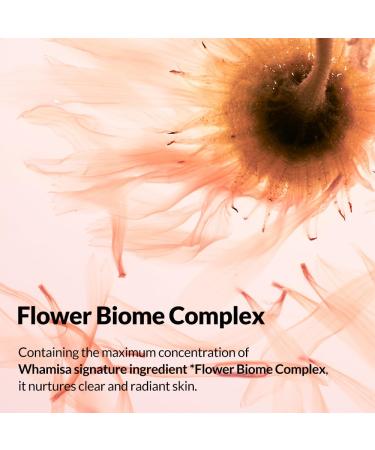 Whamisa Organic Flowers Nourishing Cream - Vegan Moisturizer for Sensitive & Dry Skin | 95.2% Organic Korean Skincare (50ml - Buy Online on GoSupps.com