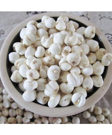 Fritillary Bulb Fritillaria Cirrhosa Fritillaria Tendril-leaved Fritillary Bulb Sichuan Fritillary Bulb Bulbus Fritillariae Cirrhosae Fritillaria Bulb Chuan Bei Mu (8 oz) - Buy Online on GoSupps.com