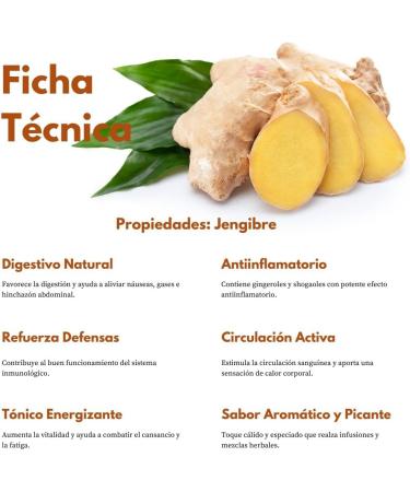  La Herbera Premium Ginger Powder - Kion (Zingiber Officinale) Root Ginger for Infusions Baking and Cooking Intense Taste Digestive Support Relaxing Effect and Antioxidant Action - Buy Online on GoSupps.com