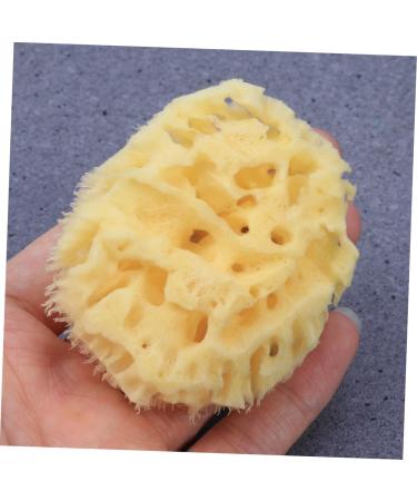 Didiseaon Sponges Bath Sponge Bath Shower Sponge Seaweed Sponge Honeycomb Algae Sponge Baby - Buy Online on GoSupps.com
