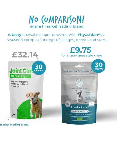 Blue Pet Co GoShine Skin & Coat Health Supplement for Dogs - 30 Chews | Promotes Healthy Skin & Shiny Coat | Enriched with Seaweed Complexes & Peanut Butter - Buy Online on GoSupps.com