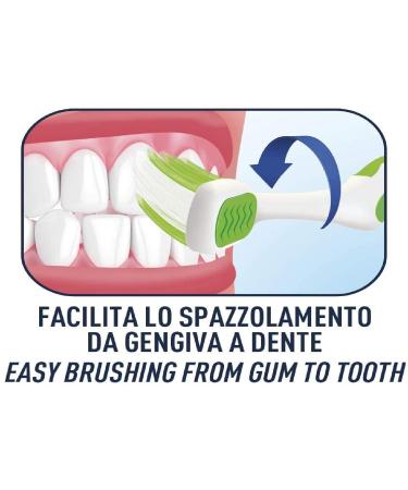 VittleItaly Biorepair Junior Oral Care Set - Toothbrush Curve Medium Soft & Toothpaste 2.53fl.oz - Ages 7-14 - Buy Online on GoSupps.com