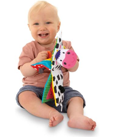 Galt Toys Teether Soft Book - Farm | Baby Teether & Soft Book Toy for Ages 0 Months+ | International Shipping Available - Buy Online on GoSupps.com