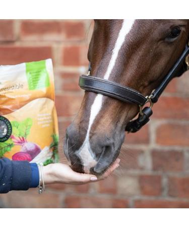 Equilibrium Simply Irresistible - horse supplement & treet Virtuous Vegetables 3 kg - Buy Online on GoSupps.com