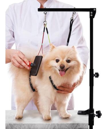 Kalolary Pet Grooming Arm with Clamp | Adjustable 33 Inch Height | No Sit Haunch Holder | Dog Grooming Loop Noose | Ideal for Medium & Small Dogs - Buy Online on GoSupps.com