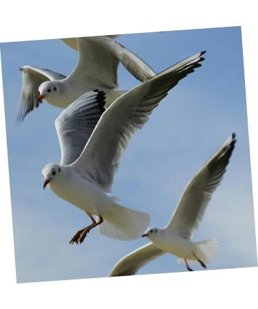 100 pcs Band Identification Quail Anklet Baby Bands to Pigeons Colorful Chicken Xuan Bird Dove 1.3X1.3CM Black - Buy Online on GoSupps.com