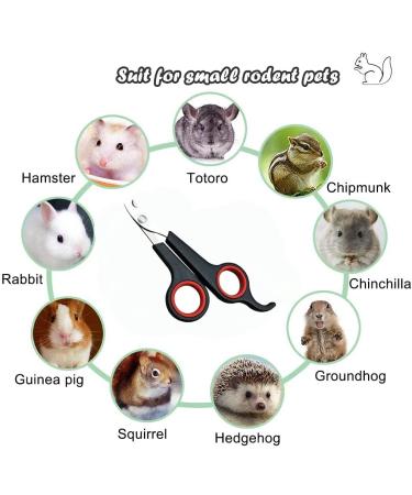 Professional Rabbit Nail Clippers: Stainless Steel Claw Trimmer for Small Animals - Guinea Pig, Ferret, Hamsters, Chinchilla, Sugar Glider - Grooming Supplies - Black - Buy Online on GoSupps.com