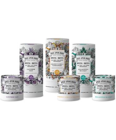 All Day All Over Deodorant Eucalyptus Sea Salt - Travel Size (0.5 Oz) | Sensitive Skin Safe | Natural & Clean | Mini Pits + Bits | DE9028 - Buy Online on GoSupps.com