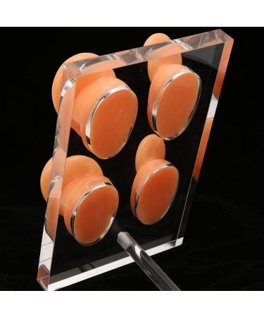 Ear Display Mold Human Ear Model Real Skin Feeling Reusable Waterproof Soft For Store Showcase For Doctor Otolaryngologists For Ear Dispensers - Buy Online on GoSupps.com