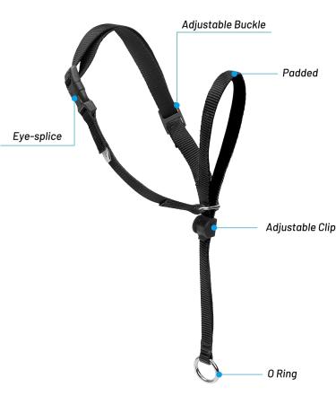 Adjustable Dog Halter with Padded Comfort & 120cm Nylon Rope for Training - Small to Large Dogs (Black) - Buy Online on GoSupps.com
