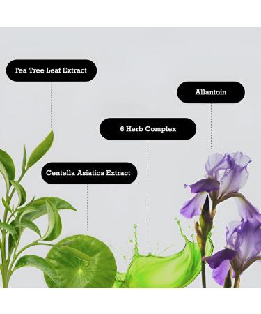 Buy ABOUT ME Soop Calming Aqua Serum - Vegan Hydrating Serum for Dry Sensitive Skin | Cypress Water Centella Asiatica Tea Tree Extract (50ml - Buy Online on GoSupps.com