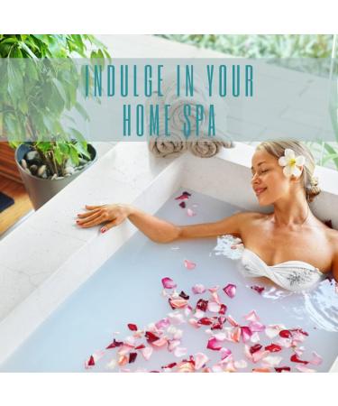 Aromasong Magnesium Flakes from The Dead Sea 3 LB Resealable Pack - Muscle Relaxing Magnesium Chloride Bath Salts for Headaches, Stress & Leg Discomfort - Buy Online on GoSupps.com