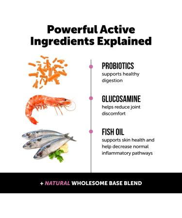 Pet Honesty 10 in 1 Dog Multivitamin - Glucosamine Essential Dog Supplements & Vitamins - Glucosamine Chondroitin Probiotics Omega Fish Oil - Dogs Health & Heart- Dog Health Supplies (Chicken) - Buy Online on GoSupps.com