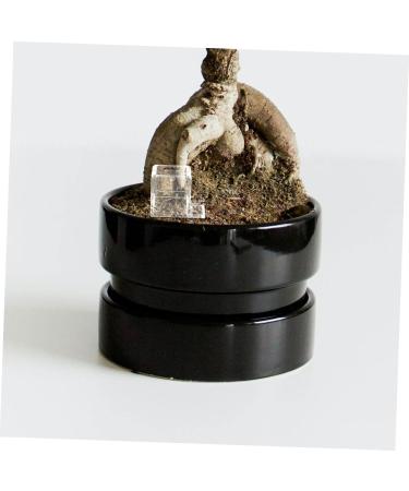 Toddmomy Pet Water Feeder Ants Feeding Bowl Ants Watering Cup Small Ants Feeder Ants Feed Bowl Plastic 1 count (Pack of 1) - Buy Online on GoSupps.com