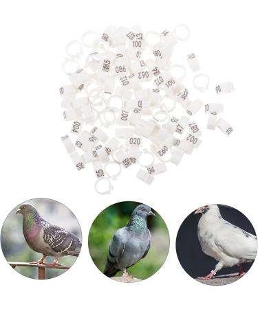 100 pcs Stuff Poultry Hen Baby Leg Xxcm White Pigeons Supplies Meat Feet Cockatiel Identification 1.3X1.3CM White - Buy Online on GoSupps.com