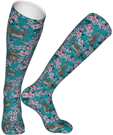 British Shorthair Cat Cherry Blossom Floral Compression Socks for Men & Women - 15-20 mmHg Support for Running & Cycling - Buy Online on GoSupps.com