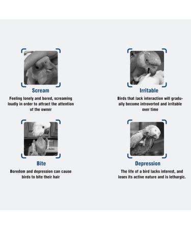 Cyrank Pet Rope Ladder for Small Birds & Small Animals | Climbing Bridge Toys for Hamsters Mice Rats Squirrels and Parrots - Buy Online on GoSupps.com