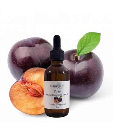 French Plum Seed Oil Organic Cold Pressed Unrefined Natural 2 Fl Oz