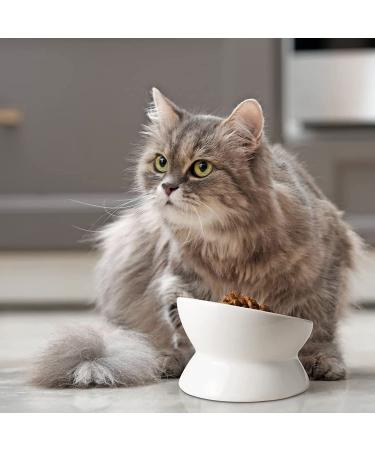 KITCHENLESTAR Ceramic Raised Cat Bowls - Slanted Elevated Porcelain Feeder Bowl for Cat's Spine Health - Backflow Prevention, Stress-Free Feeding - White - Buy Online on GoSupps.com